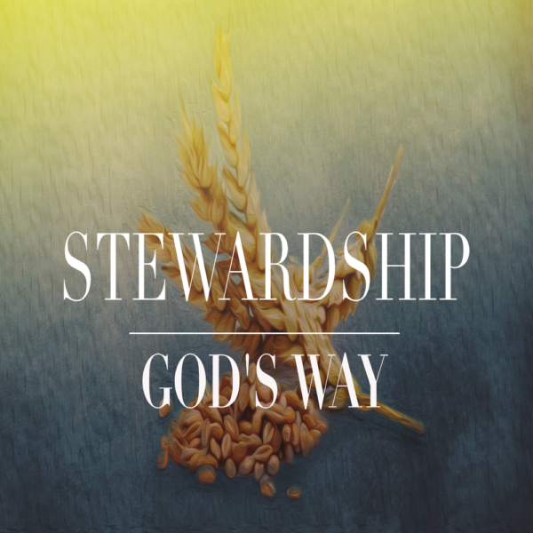 Stewardship God's Way