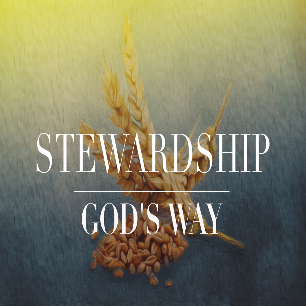 Stewardship God\'s Way