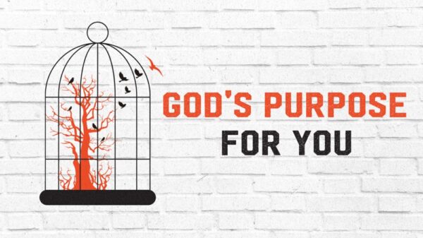 God's Purpose for You