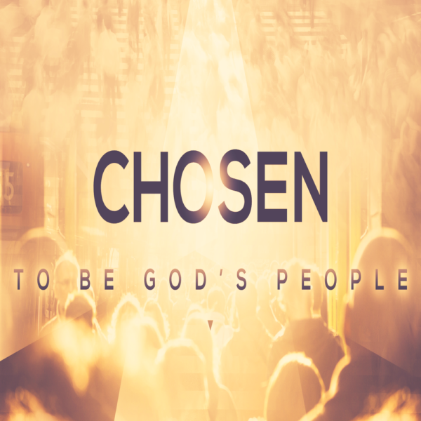 A Chosen Generation, A Holy Nation, A People Possessed of God? Image