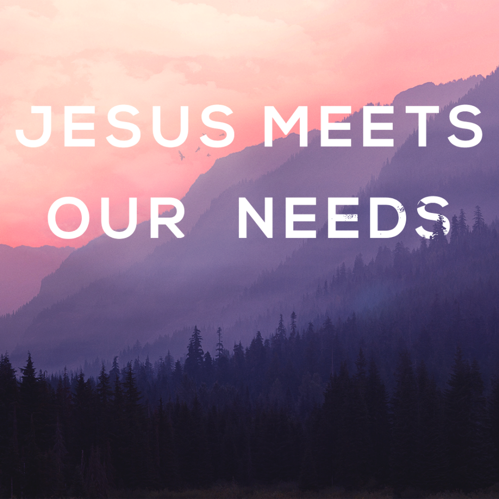 Jesus Meets Our Need