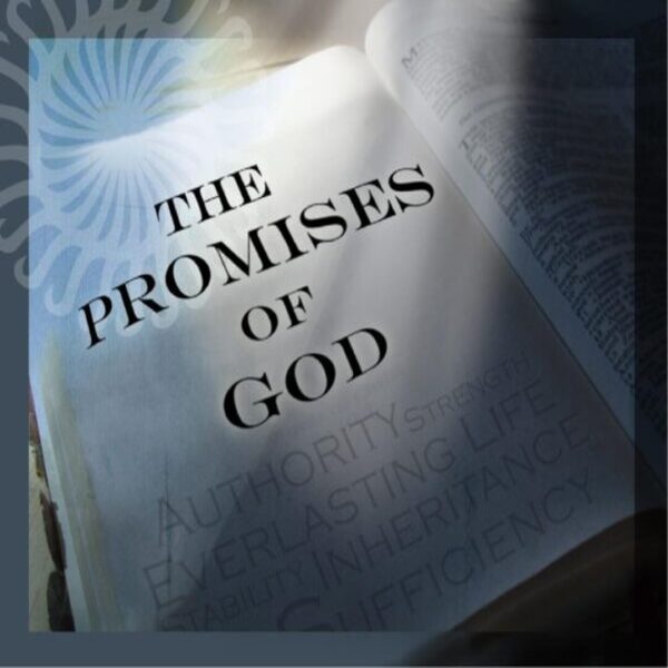 God’s Promises Comfort Us Image
